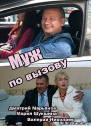 Муж по вызову (2015)